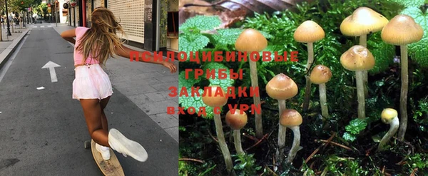 кокс Кинешма
