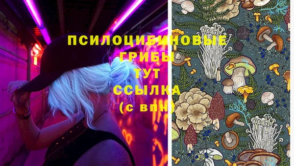 кристаллы Киренск