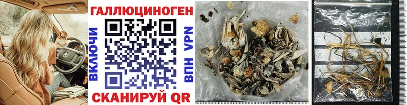 Купить где  Чебаркуль  Псилоцибиновые грибы Magic Shrooms 