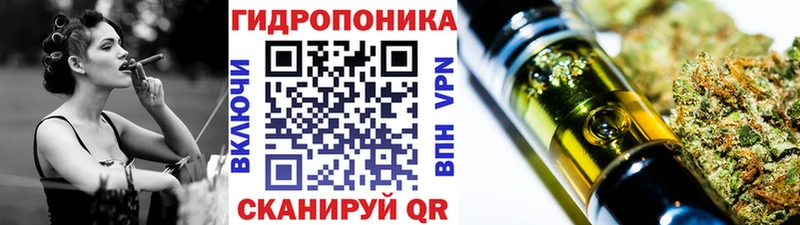 Купить закладки  Чебаркуль  Канабис SATIVA & INDICA 